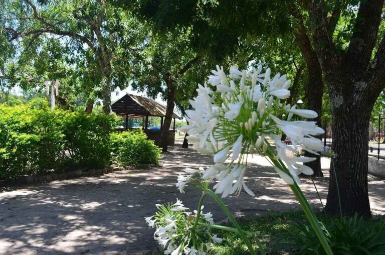 hotel en gualeguaychu hosteria papaya (15)